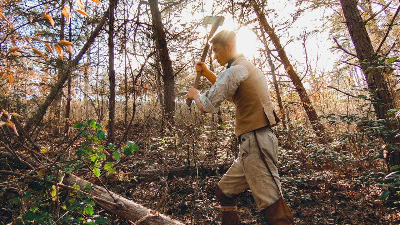 Best Tree Trimming Near Me  in Fruit Cove, FL